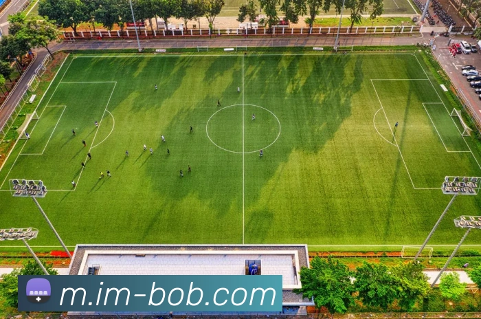 BOB体育平台生态图